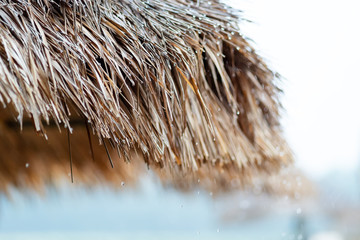Raindrop under the grass roof while raining in outdoor. Big rain drops falling down on straw roof...