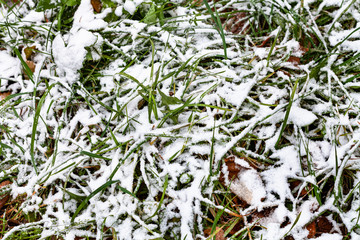 first snow covers meadow on autumn day