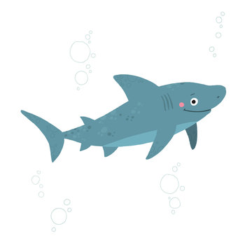 Shark sea animal character. Cartoon vector hand drawn eps 10 illustration isolated on white background in a flat style.