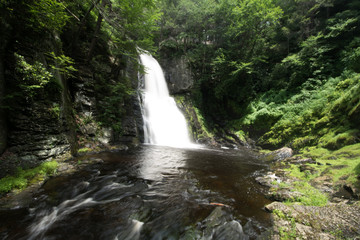 Fototapeta premium waterfall in forest