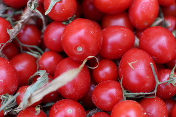 cherry tomatoes on wooden background