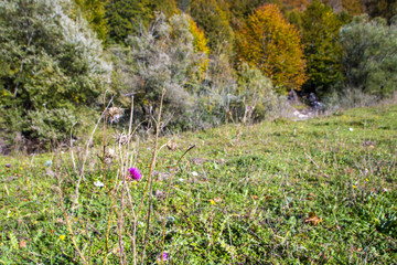 Abruzzo national park