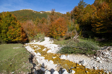 Abruzzo national park