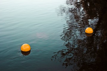 buoys floating in water