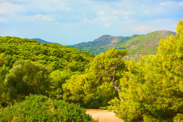 Landscape of Aegina Island