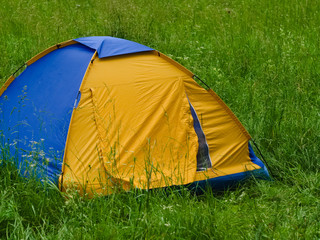 Camping. Dome tent, blue and yellow colors, set in thick grass