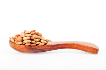 Wooden spoon with lentil grains. Isolate on white background