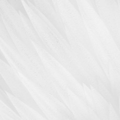 Abstract background of white decorative feathers.Soft focus.