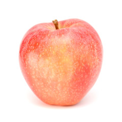 single red apple on white