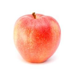single red apple on white