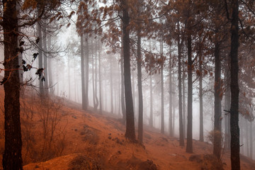 Gran Canaria, October