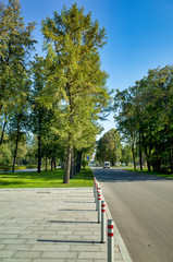 Green alleys in Luzhniki, Moscow