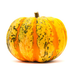 ornamental pumpkin on white
