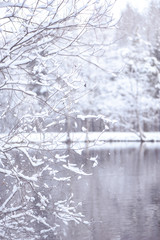 Winter blurred background.  Branches in the snow and a lake in the ice.