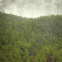  old paper background