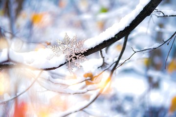 Christmas snowflake on the snowy branch.