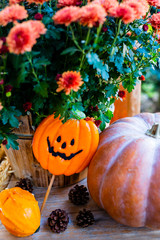 Pumpkins and Halloween decorations terrace.