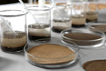Glassware with soil samples and extracts on light table. Laboratory research