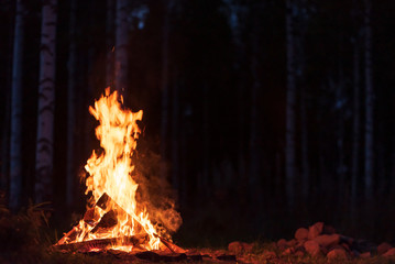 Burning campfire on a dark night in a forest