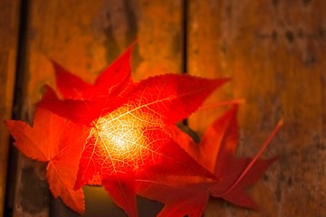 Obraz premium autum leaves background