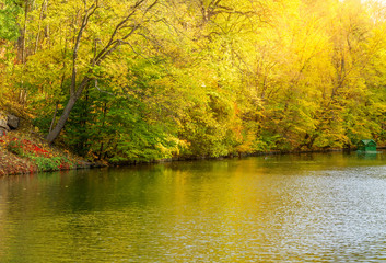 Autumn picturesque lake landscape with yellow leaves