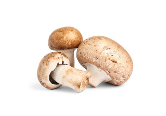 Fresh wild mushrooms on white background. Edible fungi