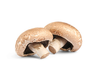 Fresh wild mushrooms on white background. Edible fungi