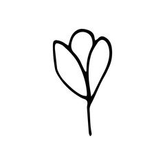 Cute single hand drawn floral elements. Doodle vector illustration for wedding design, logo and greeting card.