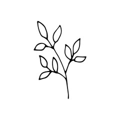 Cute single hand drawn floral elements. Doodle vector illustration for wedding design, logo and greeting card.