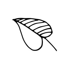 Cute single hand drawn floral elements. Doodle vector illustration for wedding design, logo and greeting card.