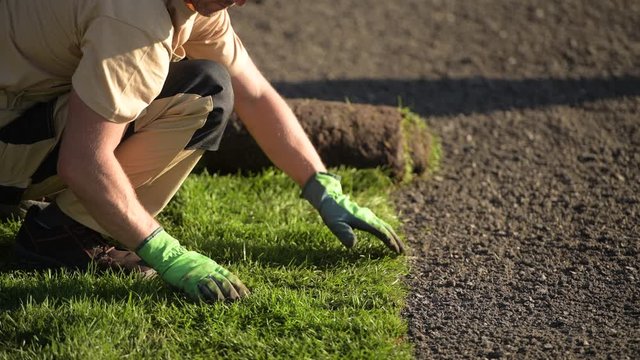 Natural Grass Installation by Professional Caucasian Gardener in His 30s.