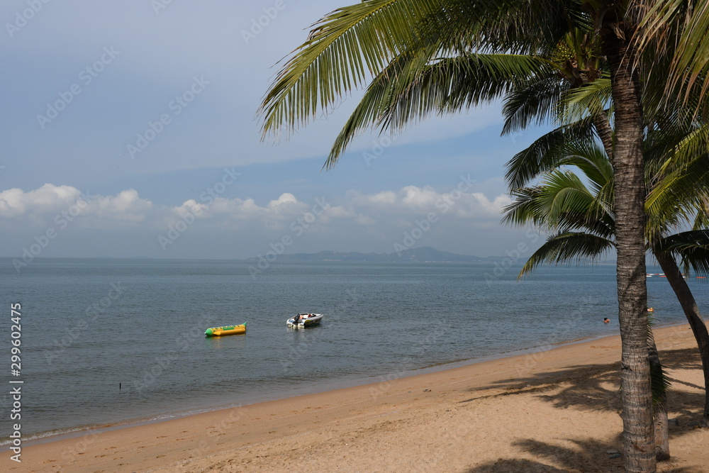 Wall mural tropical beach with palm trees