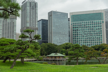 Park and Buildings Tokio 05