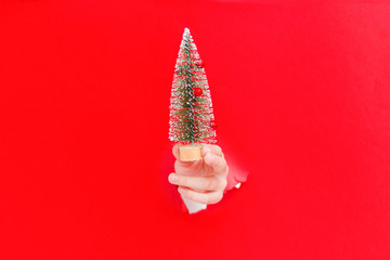 Small Christmas decorative tree isolated on red paper hole breakout background. Festive Christmas background