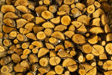 Patron textura de leña apilada