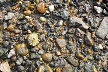 pebbles