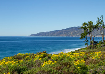 Point Dume Bay