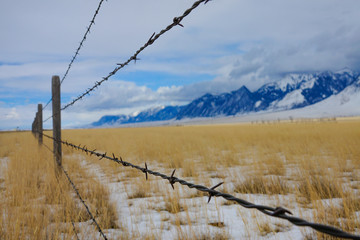 CLOSE UP: Rusty barbed wire fence runs around a meadow under the snowy Rockies