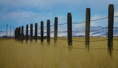 Obraz premium CLOSE UP: Old barbed wire fence runs around a golden grassfield in Montana.