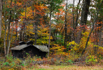 Antique Toilet in the middle of a forest. Outdoors bathroom on a hiking trail on autumn season