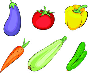 Vector illustration of vegetables. Set of vegetables. Eggplant, tomato, pepper, carrot, squash and cucumber in vector. Tasty fresh food. Raw vegetables. Vegetarian and vegan food. 