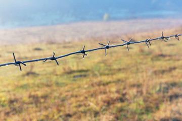 Barbed wire with dew drops on the background of blurred shiny in the sunlight grass with dew.