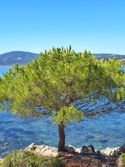 Fototapeta na wymiar Splendide paysage méditerranéen de la Côte d'Azur en France depuis un sentier du littoral