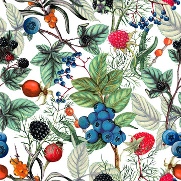 Botanical seamless pattern of  hand drawn berries,Autumn seamless pattern
