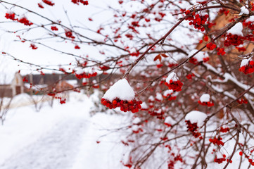 Playing dominoes on a wooden table. Dominoes game concept.