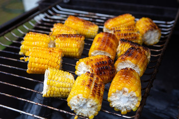Closeup of delicious organic corn cobs roasted on barbecue grill. Selective focus. Concept for food, gastronomy, recipes, veganism, healthy eating and health.