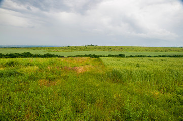 View on the meadows in the cloudy day
