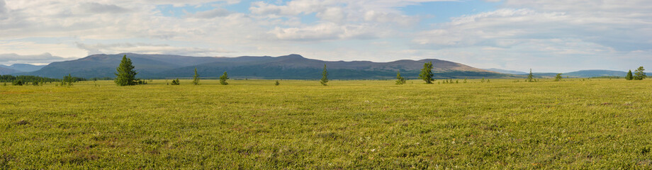 Fototapeta premium Panorama of the tundra in the natural Park on Taimyr.