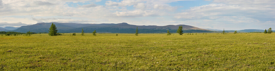 Panorama of the tundra in the natural Park on Taimyr.