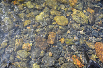 Background of shiny pebbles on the river bottom.